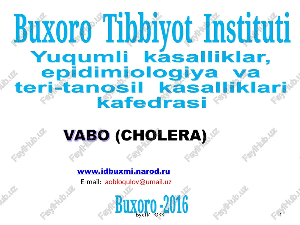 vabo (cholera) — PPT