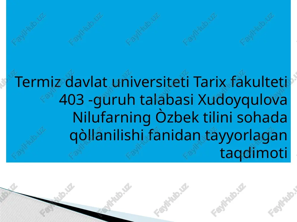 xudoyqulova nilufarning òzbek tilini sohada qòllanilishi fanidan tayyorlagan taqdimoti — PPTX