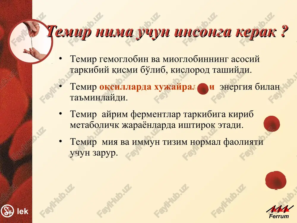 temir — PPT
