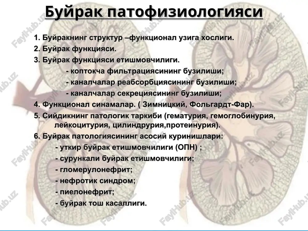 buyrak patofiziologiyasi — PPT
