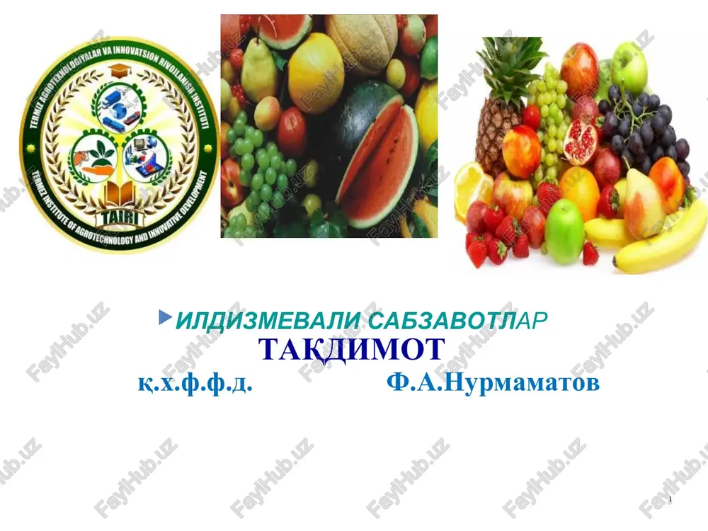 ildizmevali sabzavotlar — PPT