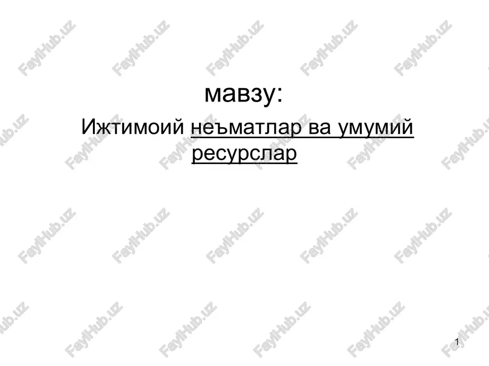 iktisodiyne'matlar va umumiy resurslar — PPT