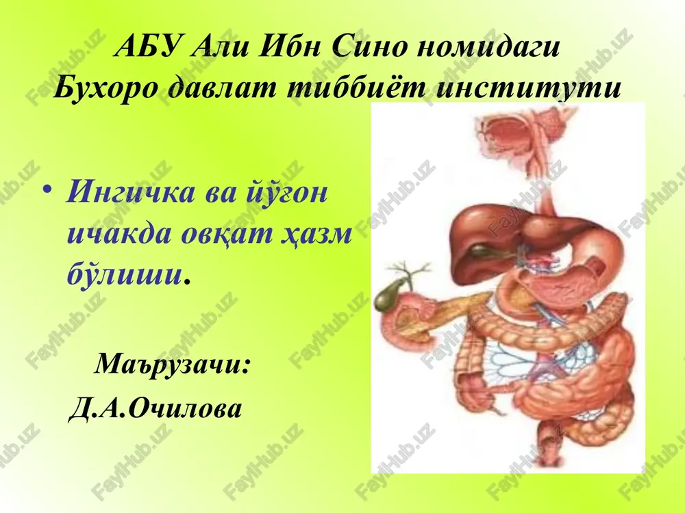ingichka va yo'g'on ichakda ovqat hazm bo'lishi — PPT