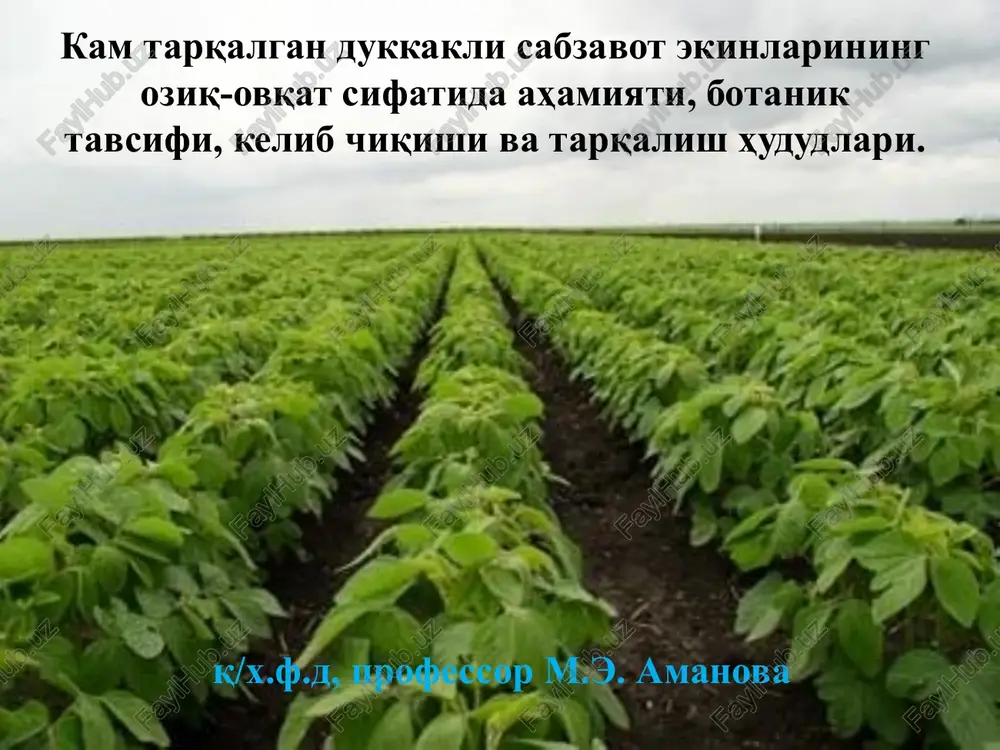 kam tarqalgan dukkakli sabzavot — PPTX