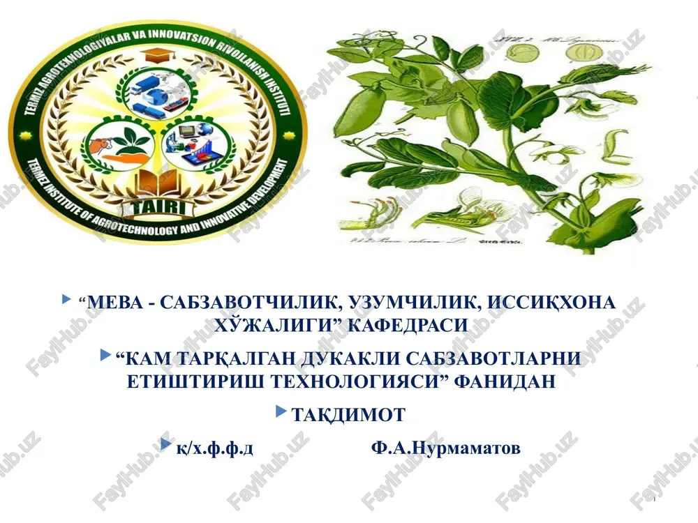 kam tarqlagan dukkakli sabzavotlar — PPTX