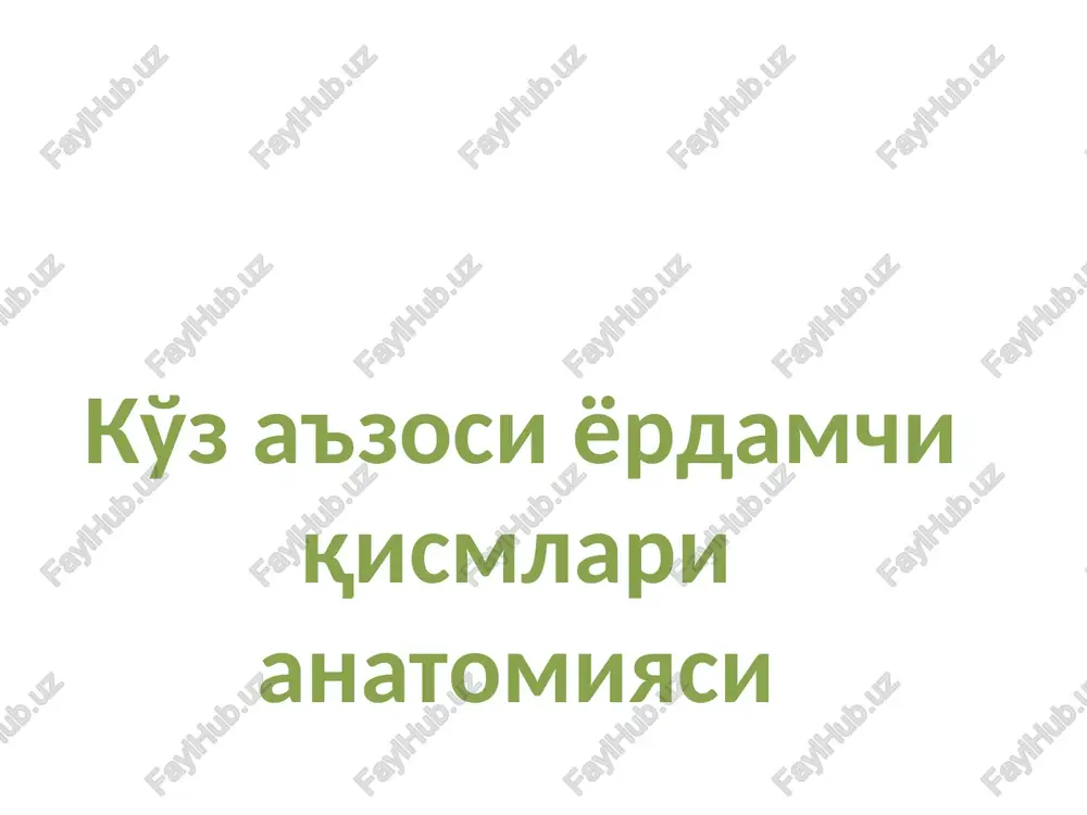 ko'z a'zosi yordamchi qismlari anatomiyasi — PPT