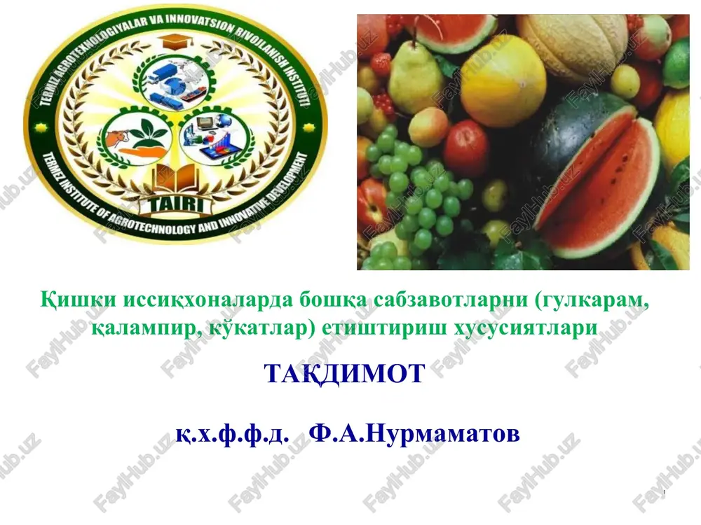 issiqxonalarda boshqa sabzavotlarni etishtirish — PPT