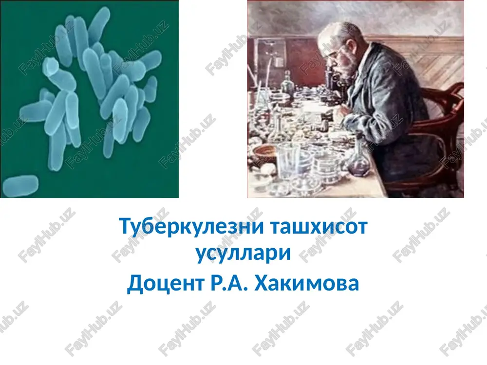 tuberkuleznitashxisotusullari — PPTX