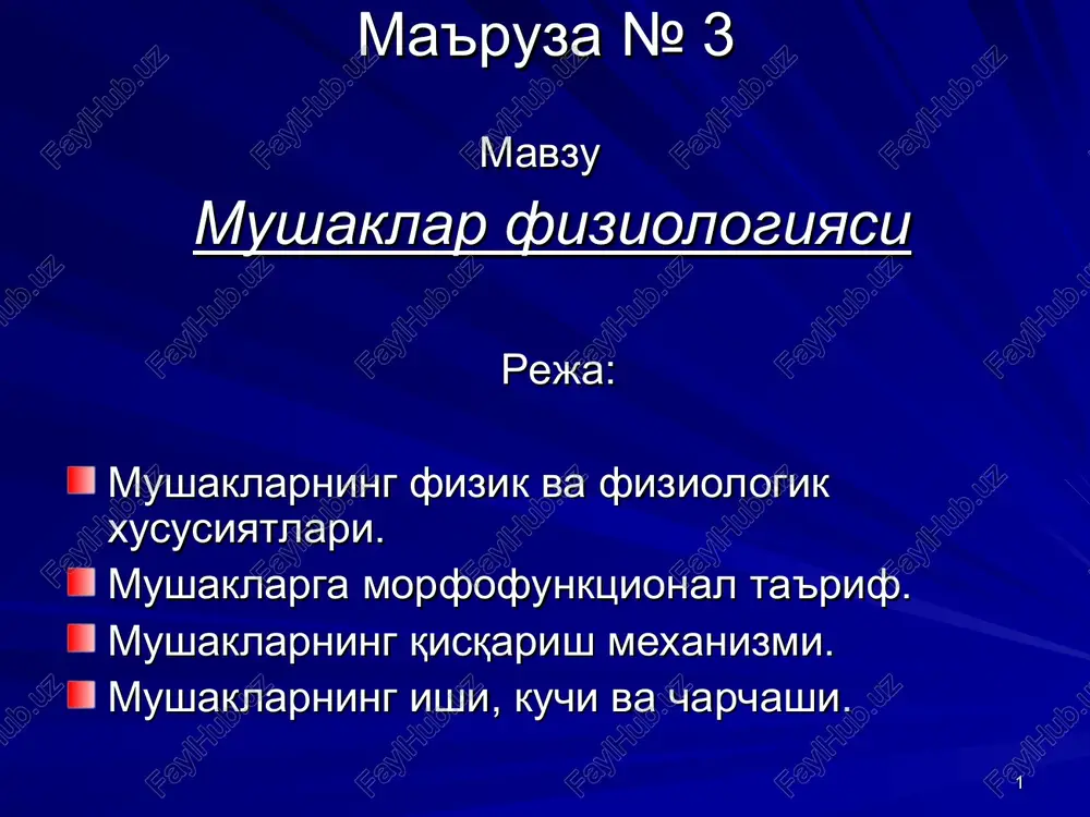 ma'ruza №3 — PPT