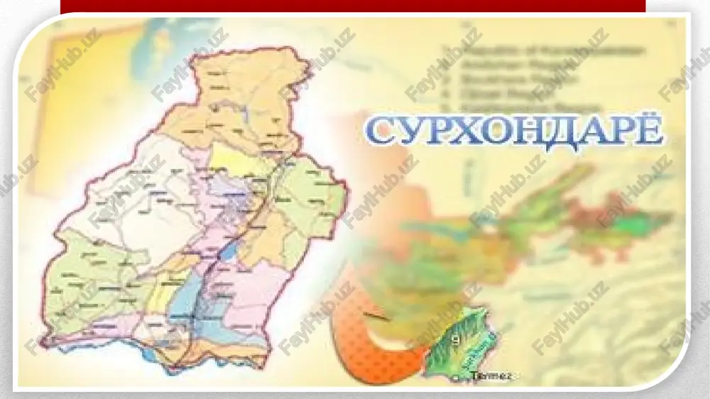 ayollar tadbirkorligi dasturlari — PPTX