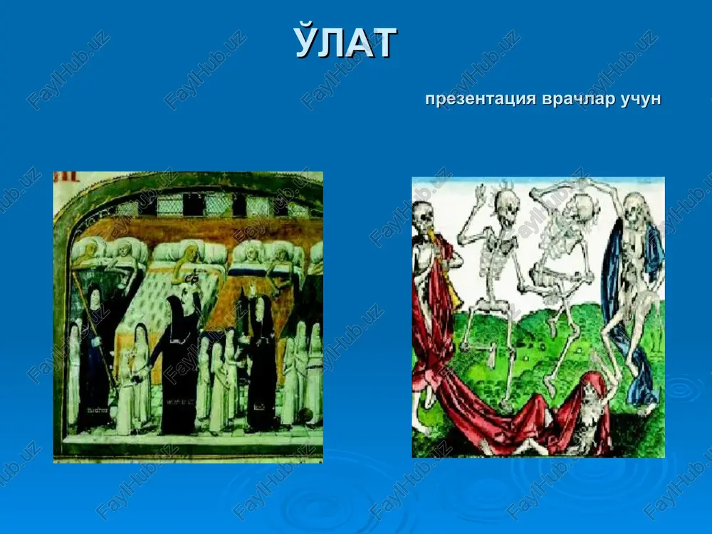 o'lat — PPT