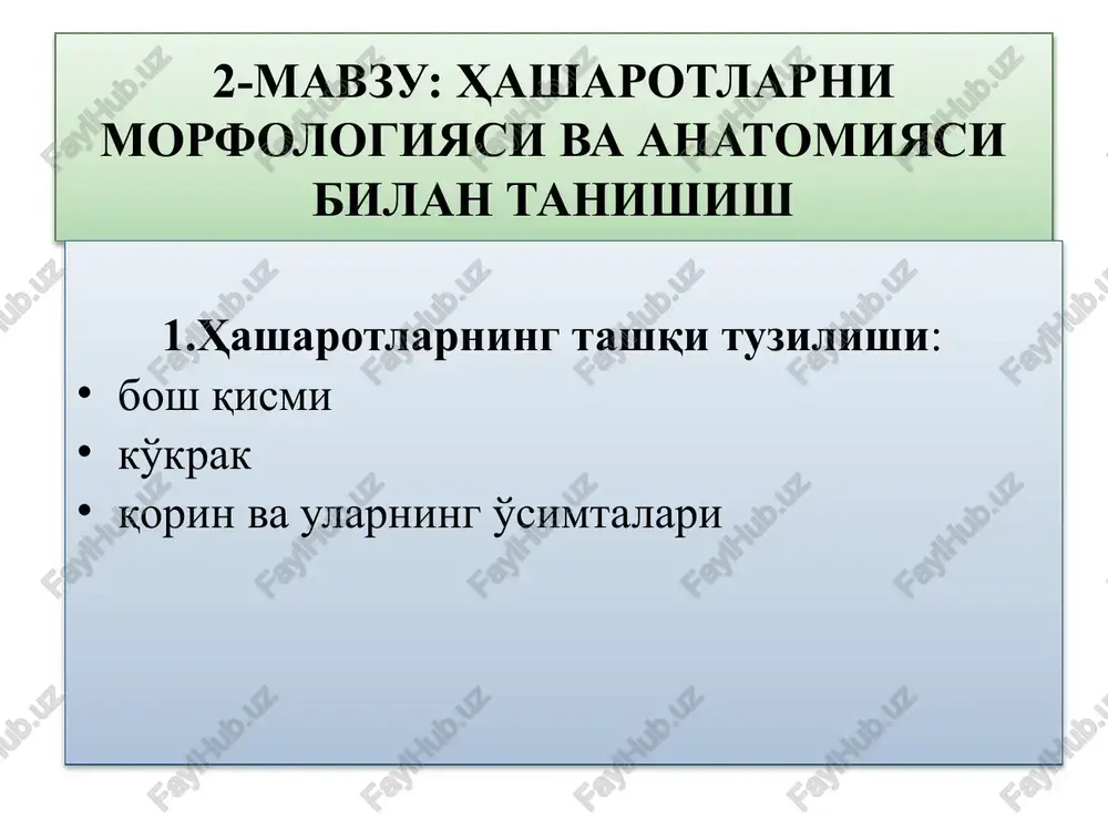 hasharotlarning tashqi tuzilishi — PPTX