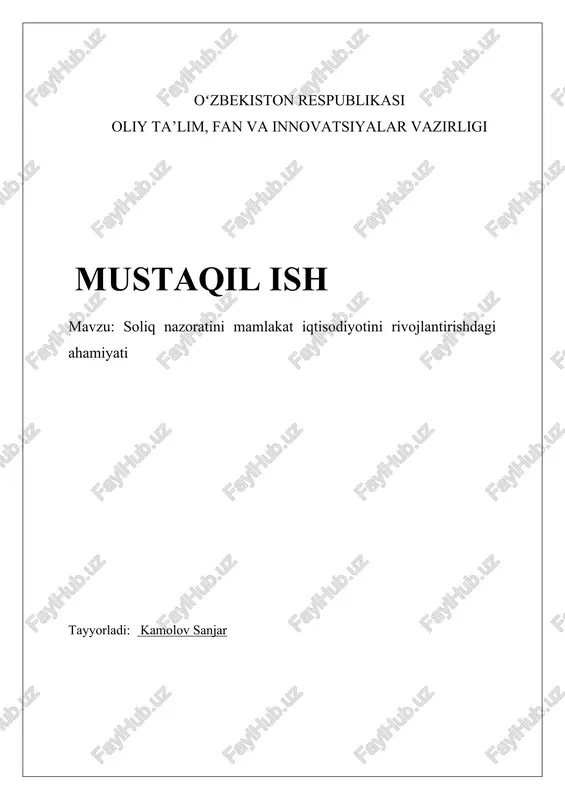 soliq nazorati — DOCX