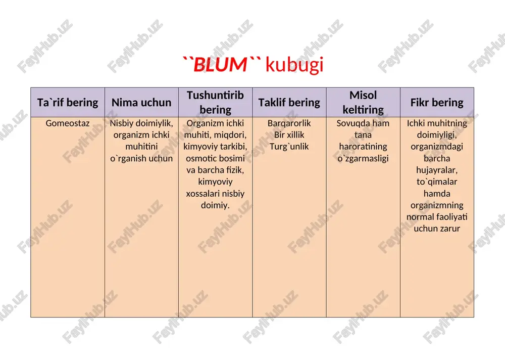 blum kubugi — DOCX