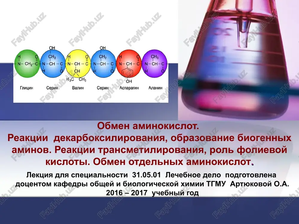 obmen aminokislot — PPT