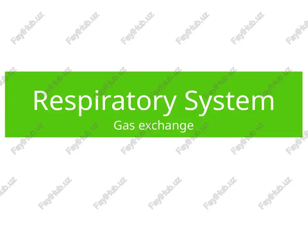 respiratory system — PPTX
