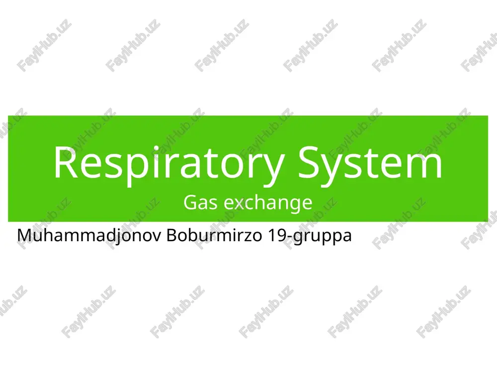 respiratory system — PPTX