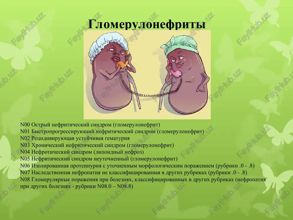glomerulonefriti — PPT
