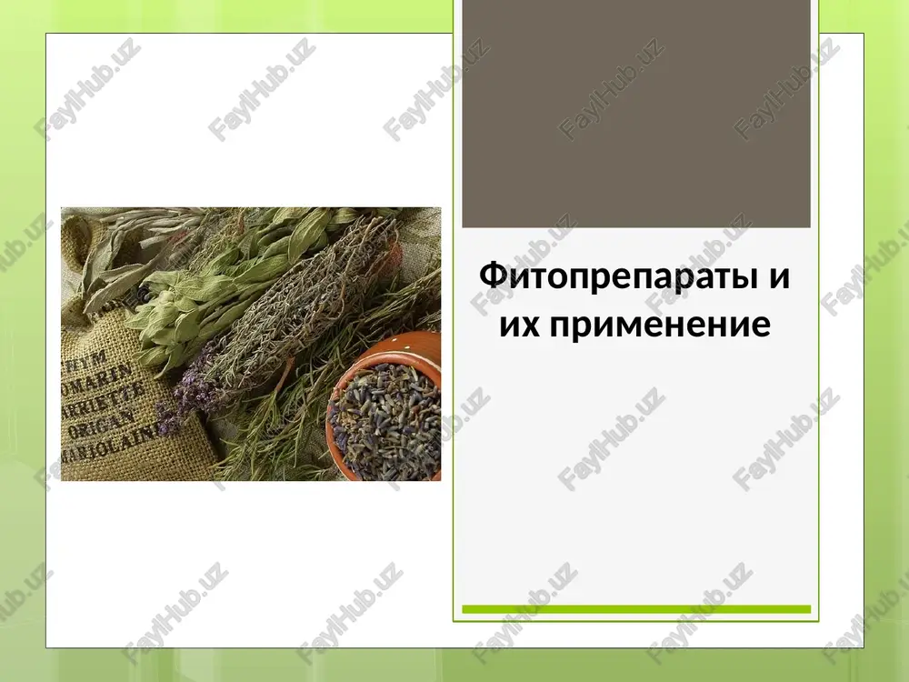fitopreparati i ix primenenie — PPT