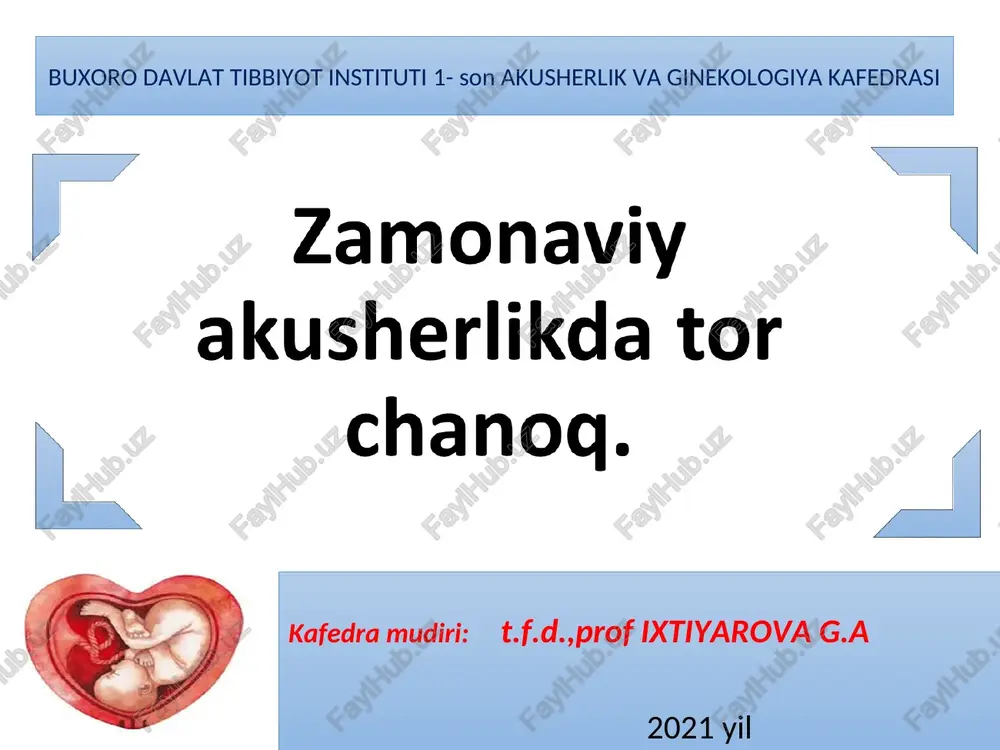 tor chanoq anatomiyasi — PPT