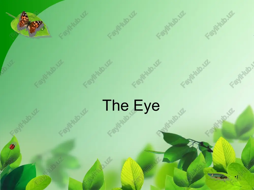 the eye — PPT