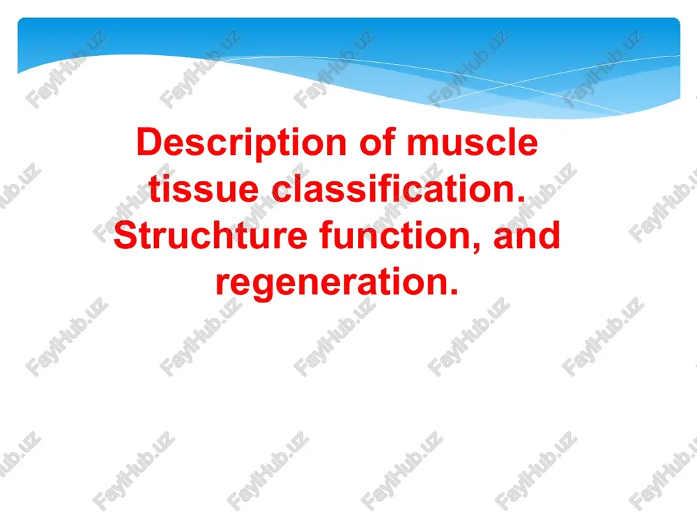 description of muscle tissue classification — PPT
