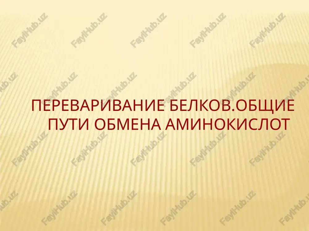 perevarivanie belkov.obshie puti obmena aminokislot — PPT