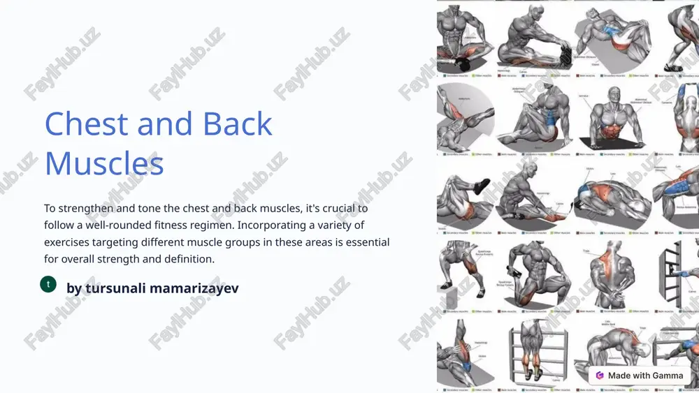 chest and back muscles — PPTX