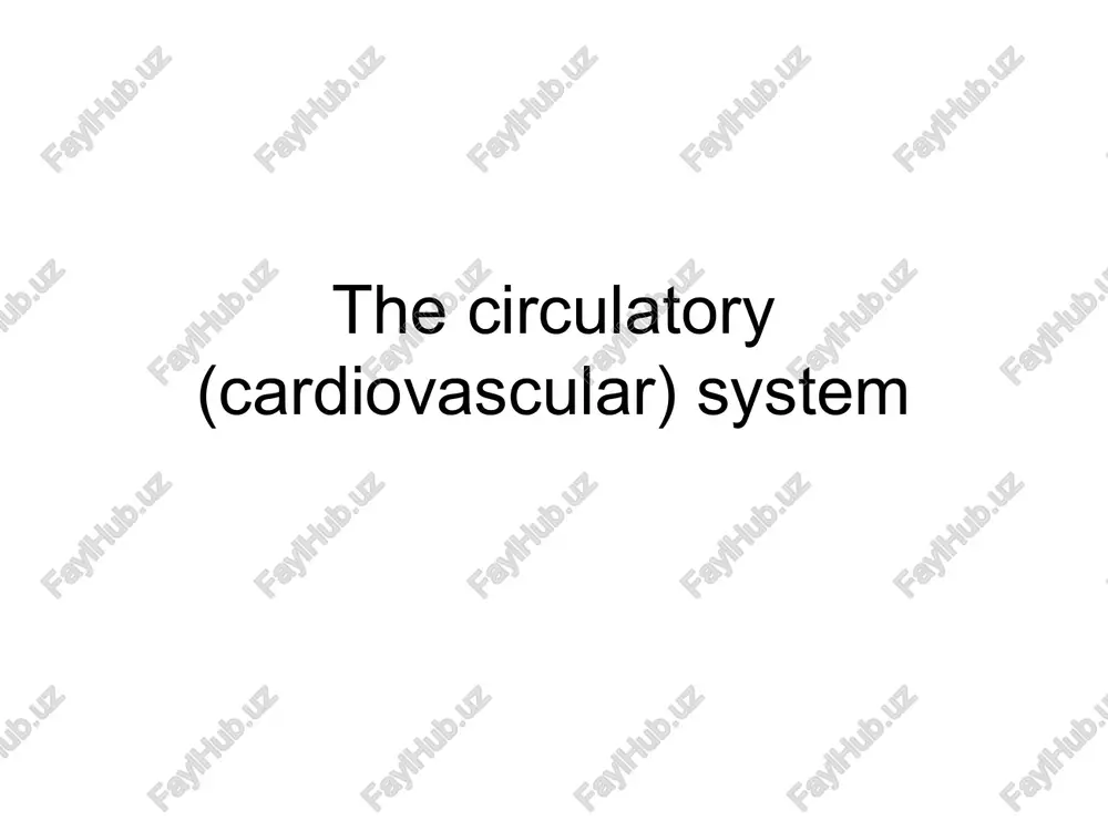 the circulatory (cardiovascular) system — PPT