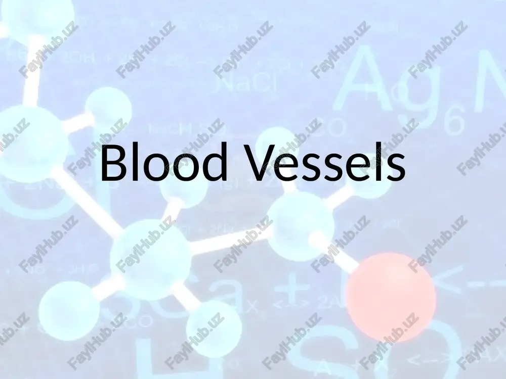 blood vessels — PPTX