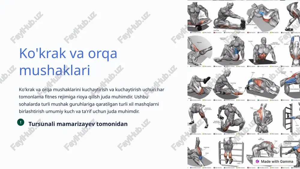ko'krak va orqa mushaklari — PPTX