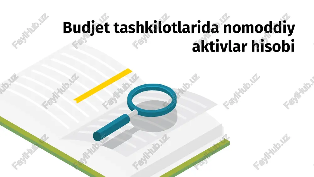 budjet tashkilotlarida nomoddiy aktivlar hisobi — PPTX