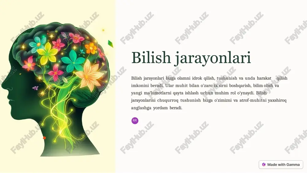 bilishjarayonlari — PPTX