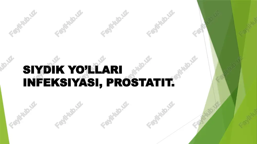 siydik yo’llari infeksiyasi, prostatit — PPTX