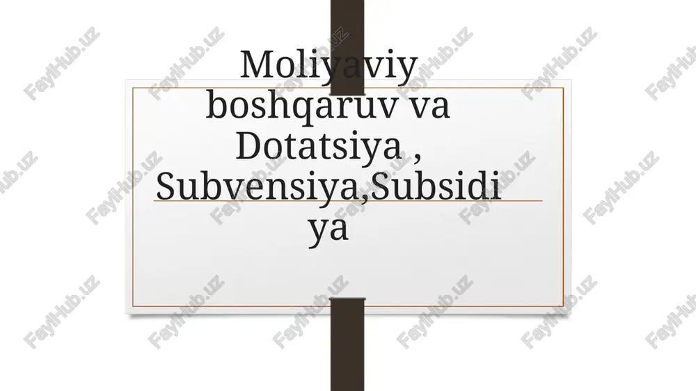moliyaviy boshqaruv — PPTX