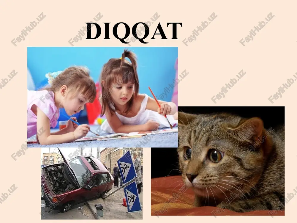 diqqat — PPTX