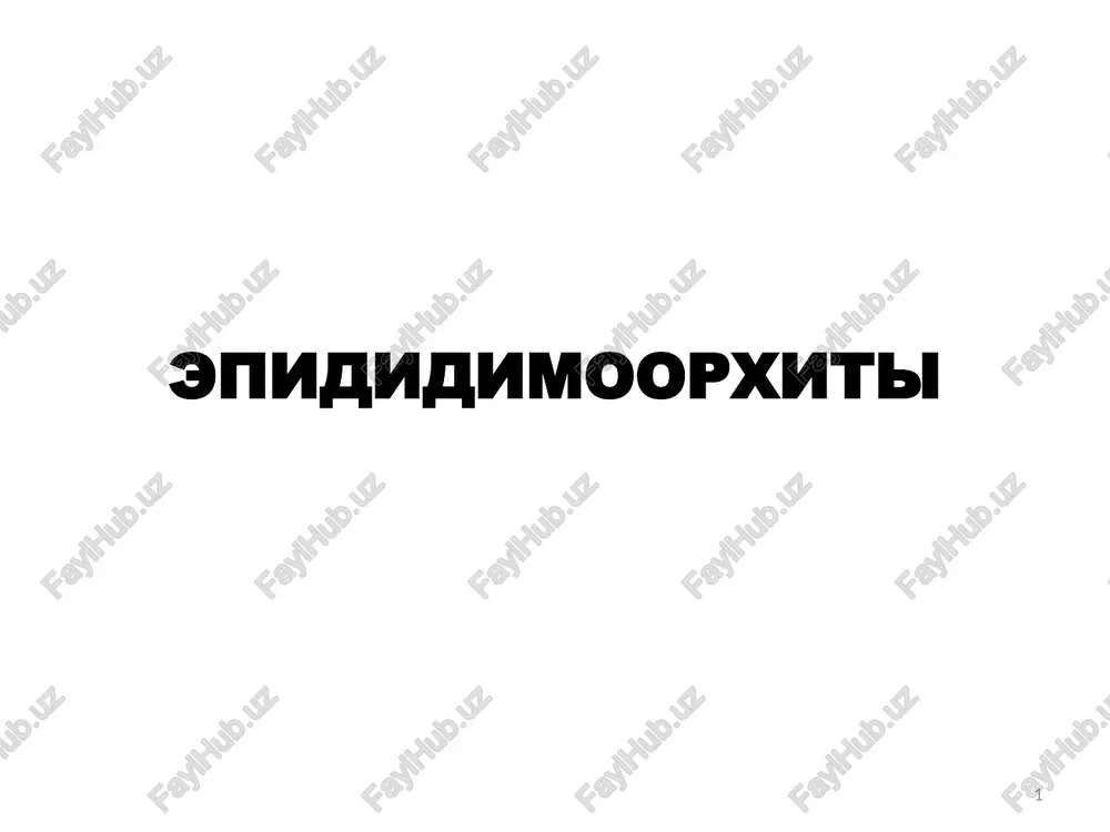 epididimoorxiti — PPTX