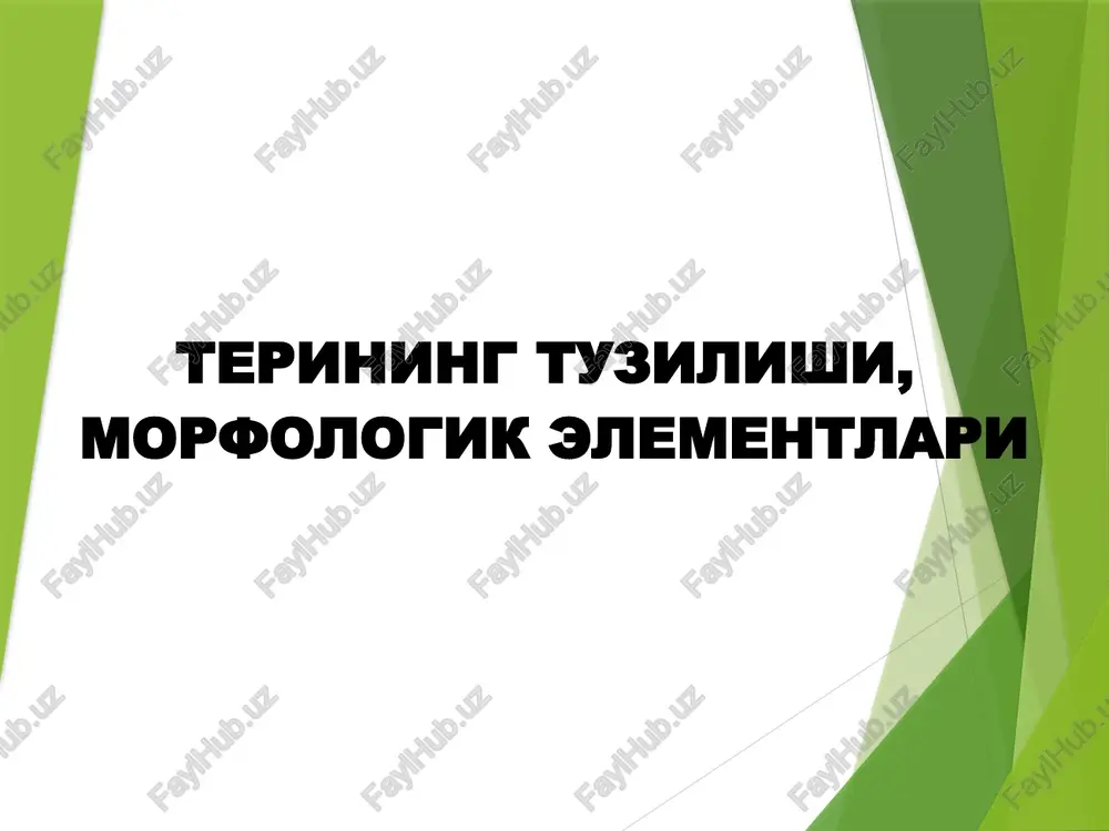terining tuzilishi,morfologik elementlari — PPTX