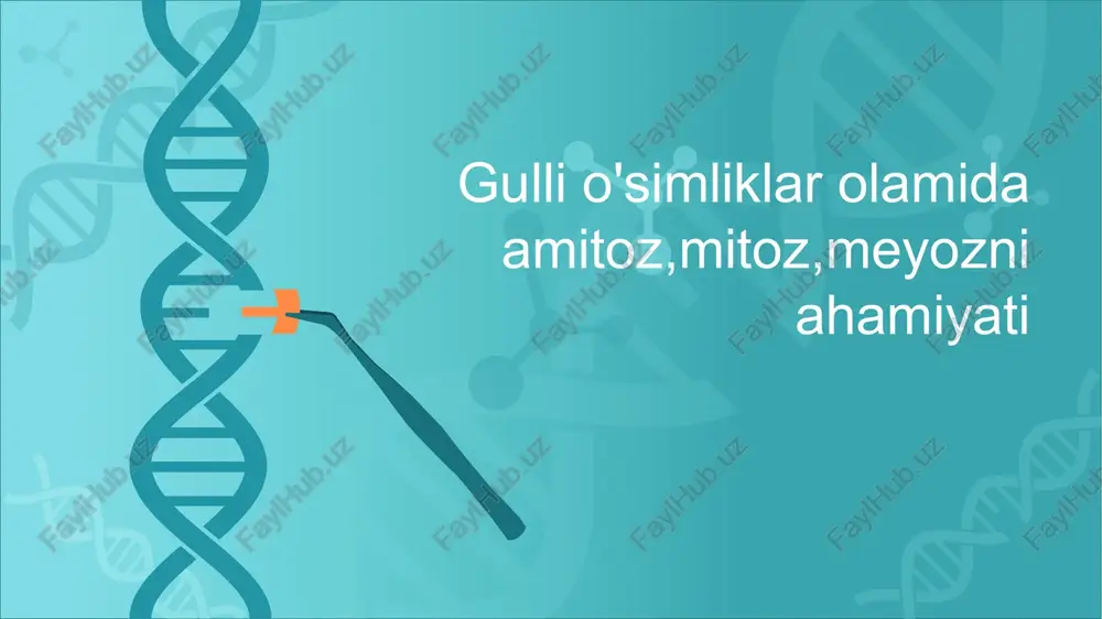 gulli o'simliklar olamida amitoz,mitoz,meyozni ahamiyati — PPTX