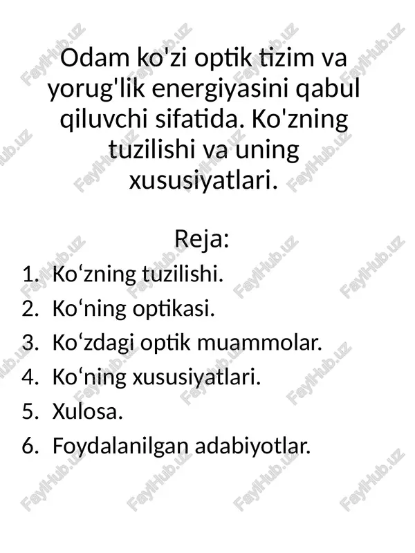 ko'zning tuzilishi — PPTX