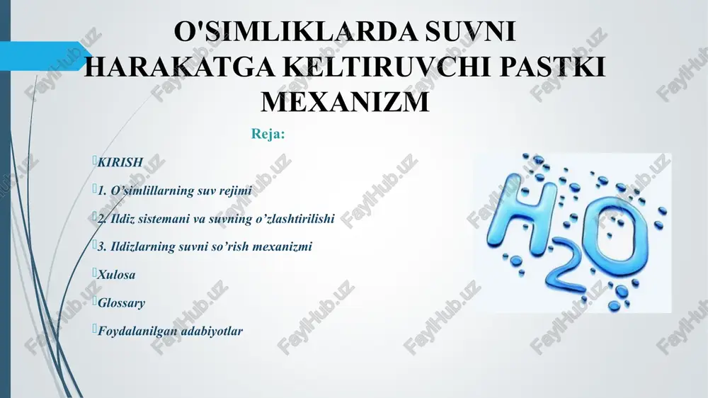 o'simliklarda suvni harakatga keltiruvchi pastki mexanizm — PPT