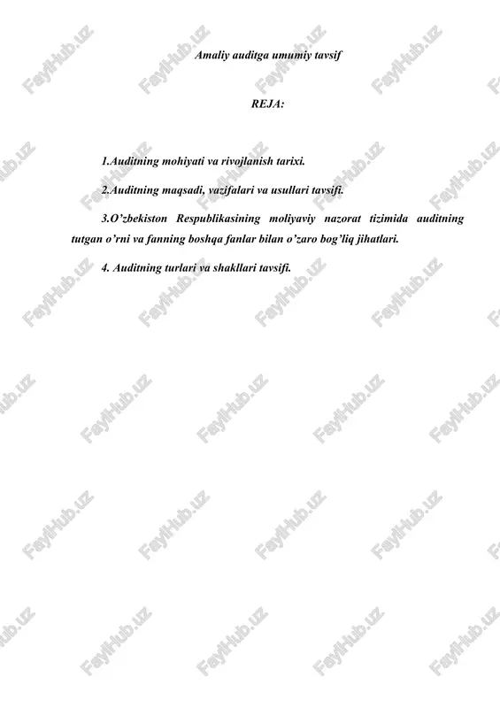 amaliy auditga umumiy tavsif — DOCX