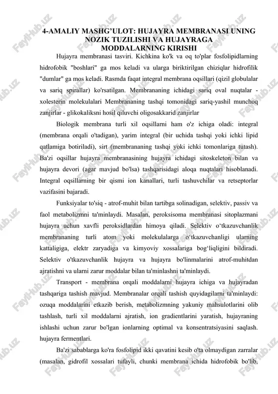 hujayra membranasi — DOC