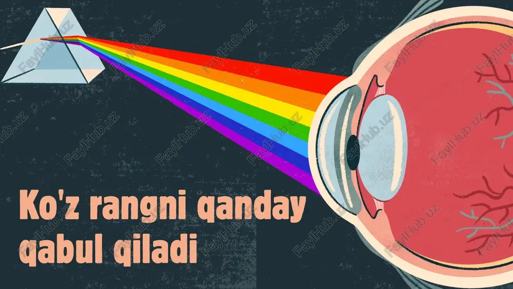 ko'z rangni qanday qabul qiladi — PPTX