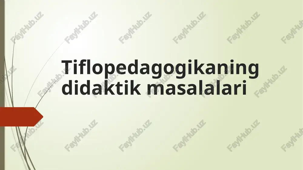 tiflopedagogikaningdidaktikmasalalari — PPTX