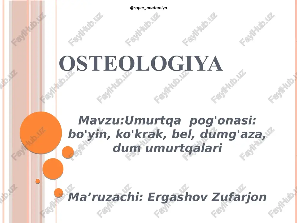 osteologiya — PDF