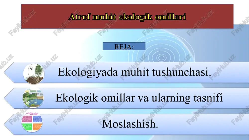 atrof muhit ekologik omillari — PPT