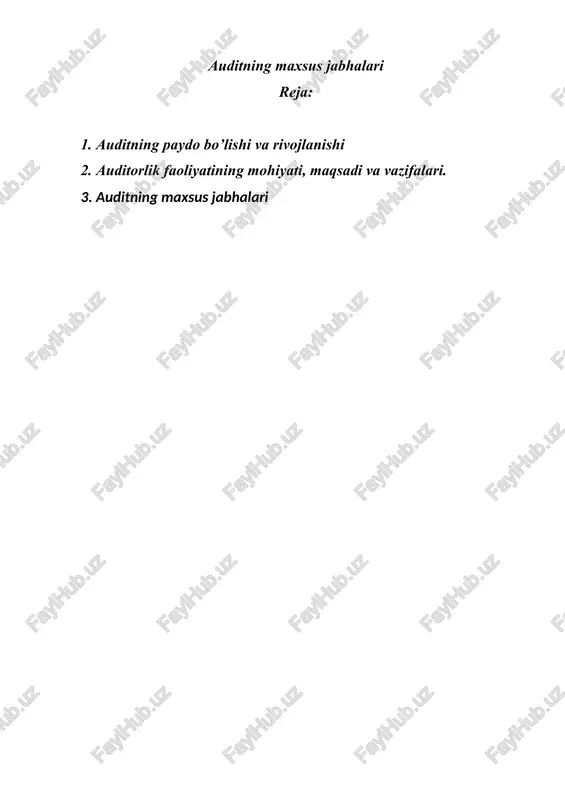 auditning maxsus jabhalari — DOC