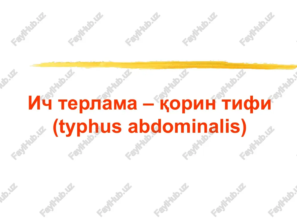 typhus abdominalis — PPT