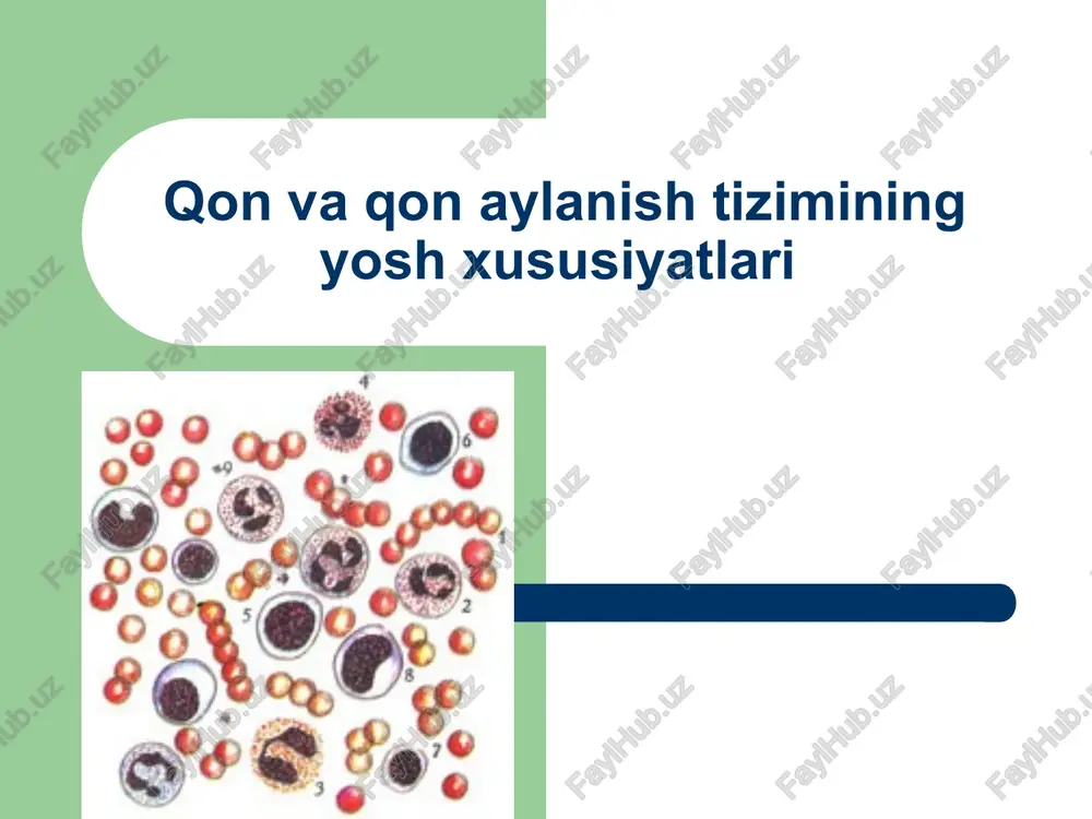 qon aylanish tizimi — PPT